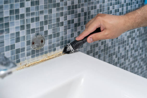 Best Professional Mold Removal  in Oakdale, NY