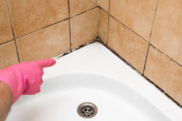 Best Commercial Mold Removal  in Oakdale, NY